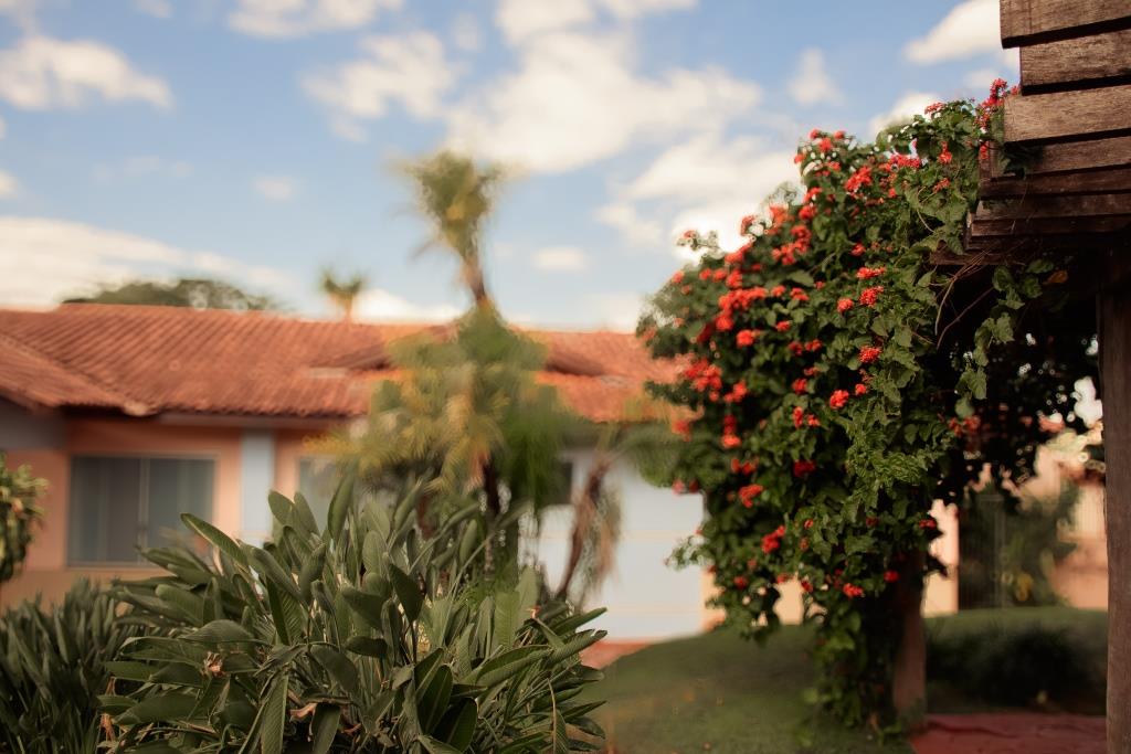 Estrutura Física - CBC (34)