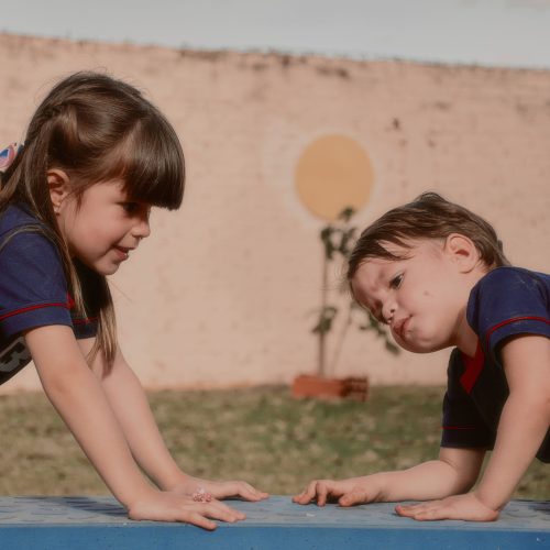 Educação Infantil - CBC (4)