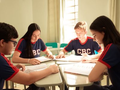 Vínculos Profissionais